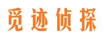 安庆侦探调查公司